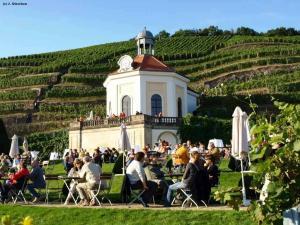 Weinberge Meißen