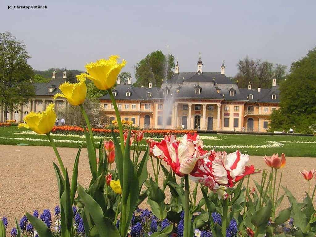 Schloss Pillnitz - Sommerresidenz des Hofes