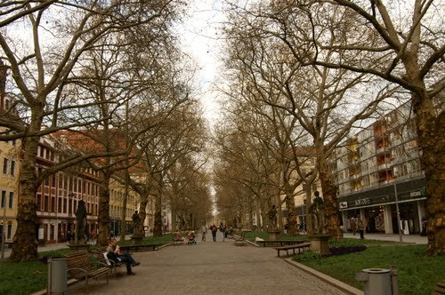 Königstrasse Dresden